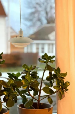 Aneta Lighting Vinduespendel Epsilon