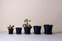 Bergs Potter Københavner Glazed, Ø 12 cm, sæt