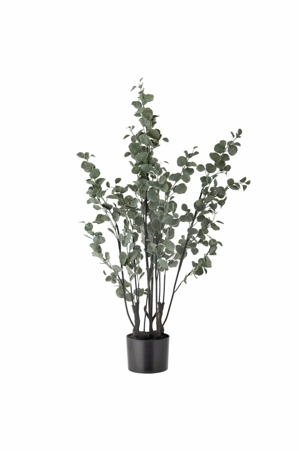 Bloomingville Eucalyptus Plante