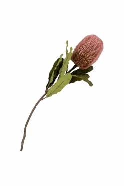 House Nordic Buket King Protea