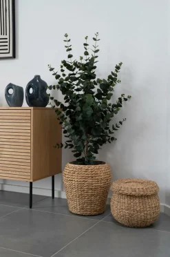 House Nordic Kurv Denia