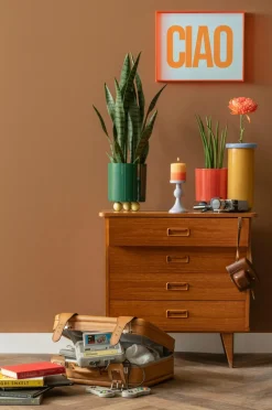 Present Time Plantekrukke Double Funky Small