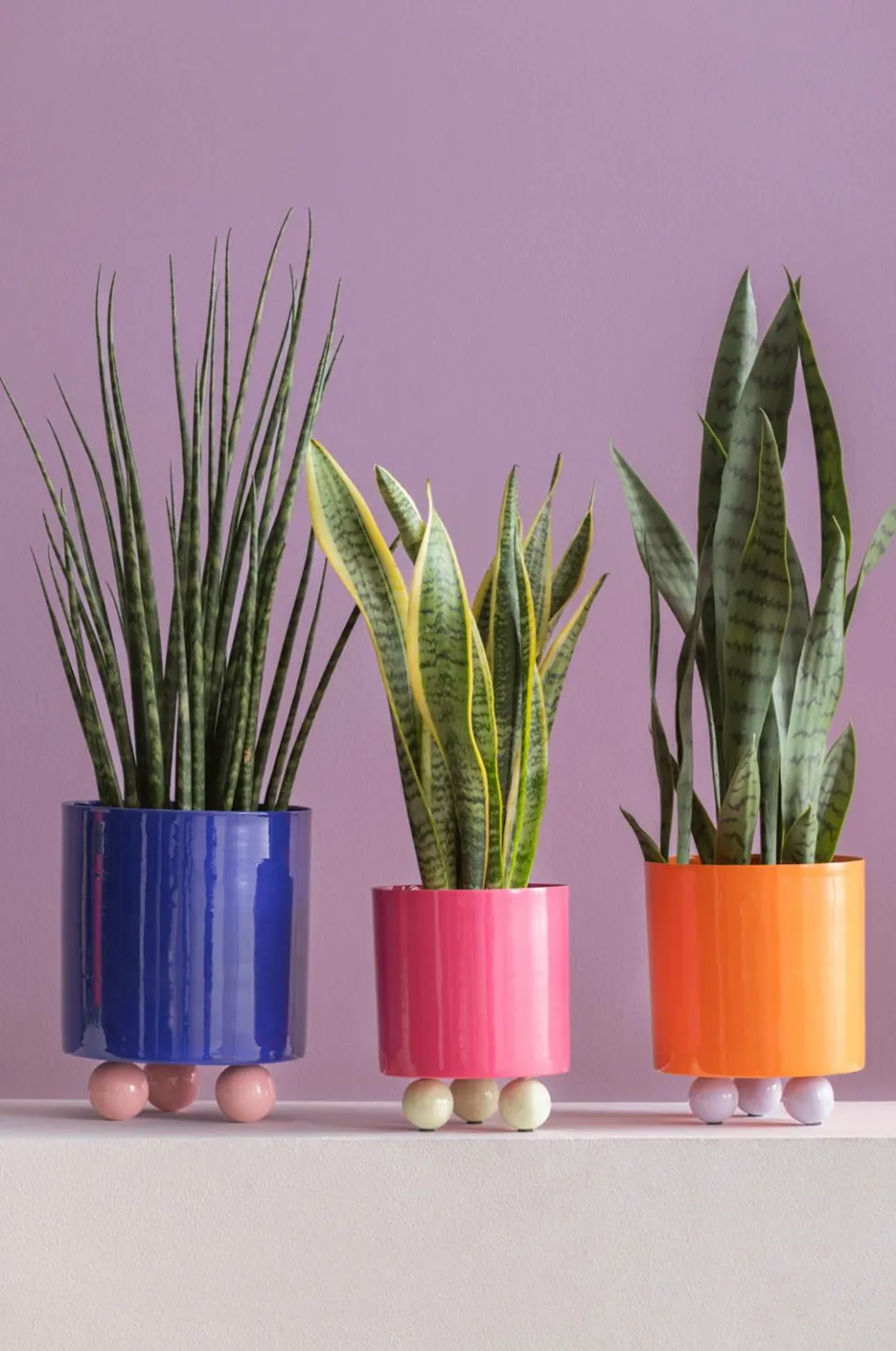 Present Time Plantekrukke Double Funky Large