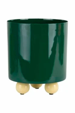Present Time Plantekrukke Double Funky Medium