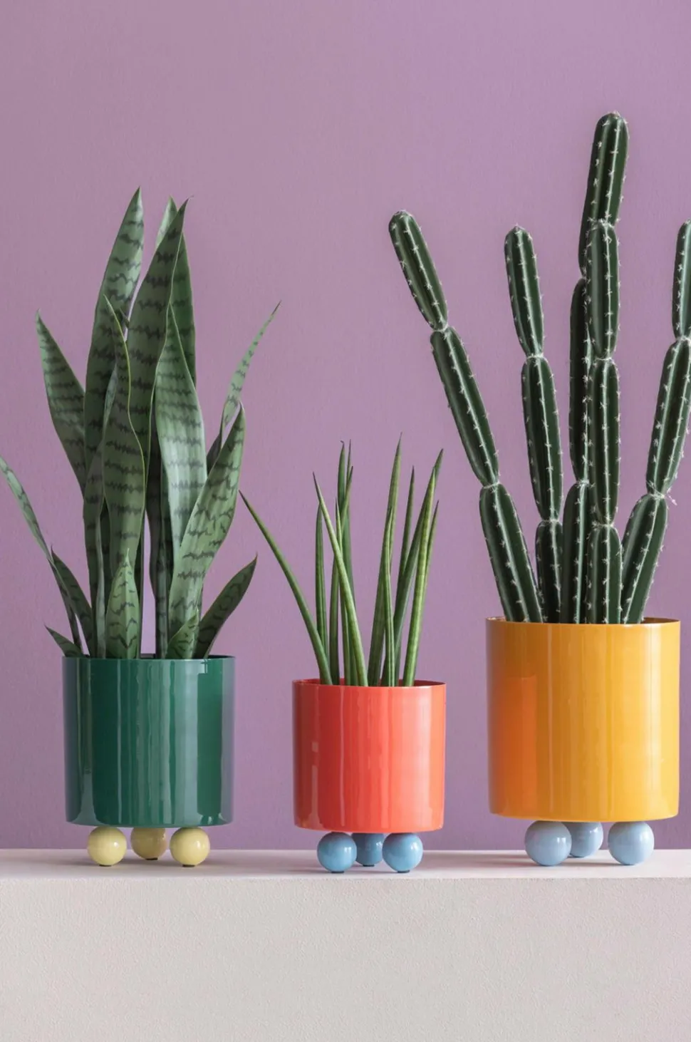 Present Time Plantekrukke Double Funky Medium
