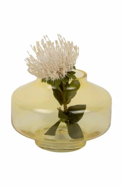 Present Time Vase Pasmoso