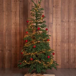 Star Trading Juletræ Edane 210 cm
