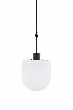 Venture Home Pendellampe Colie