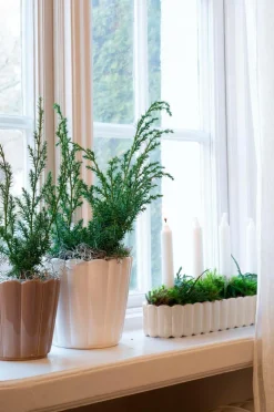 Wikholm Form Planter Oval Edna