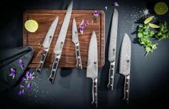 ZWILLING Kockkniv Tanrei 20 cm
